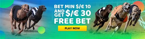 greyhound early prices|greyhound derby betting odds today.